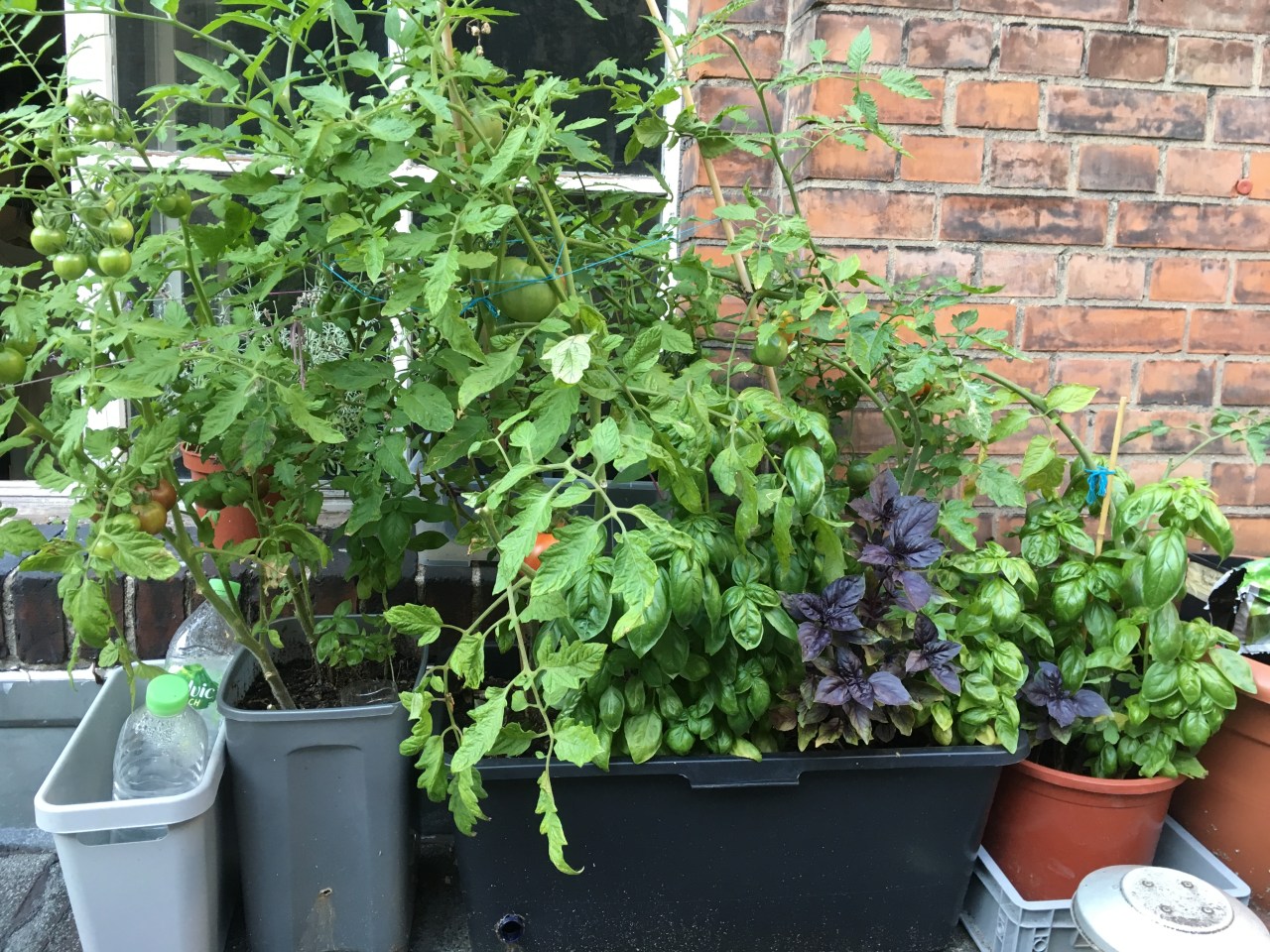 2017-08-28 18.47.47.jpg